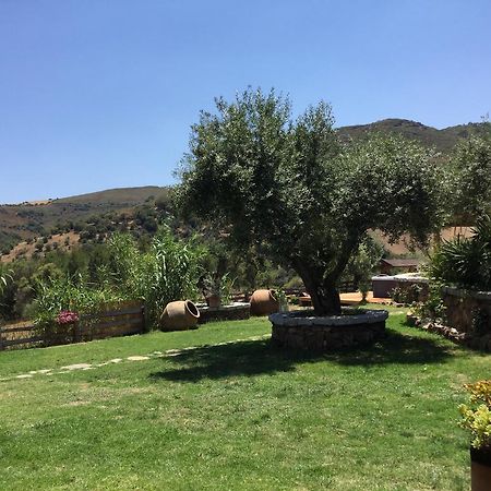 Il Giardino Di Daniela Bed & Breakfast San Teodoro  Exterior foto