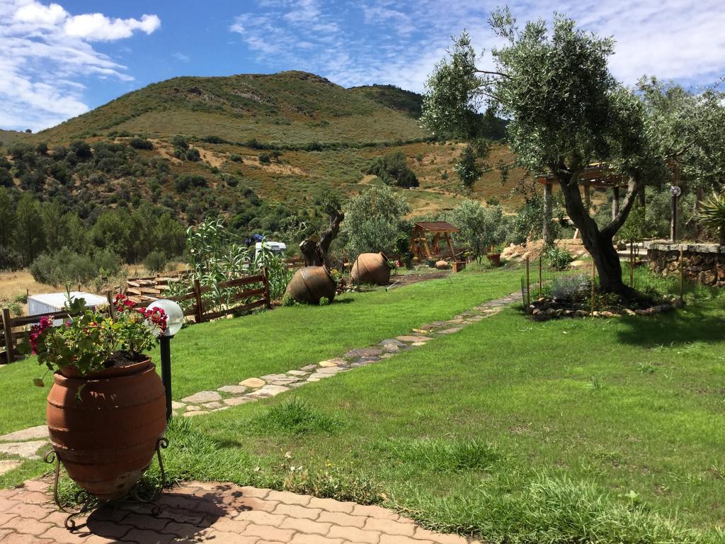 Il Giardino Di Daniela Bed & Breakfast San Teodoro  Exterior foto