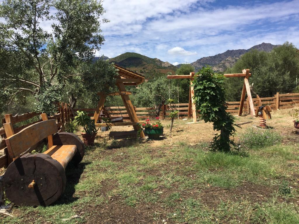 Il Giardino Di Daniela Bed & Breakfast San Teodoro  Exterior foto