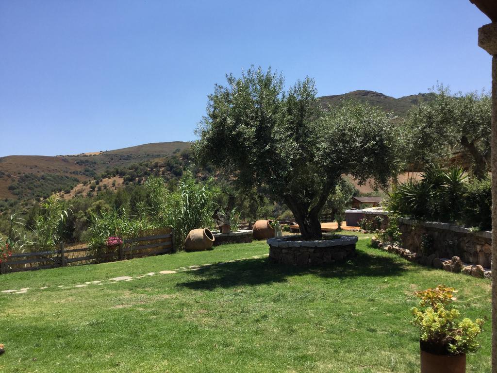 Il Giardino Di Daniela Bed & Breakfast San Teodoro  Exterior foto
